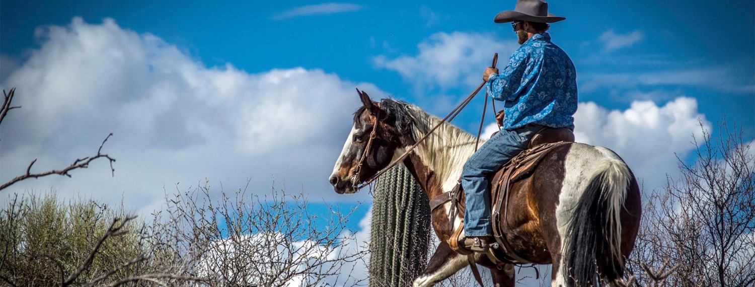 All Around Trail Horses Trusted Family Trail Rides and More | Tucson ...